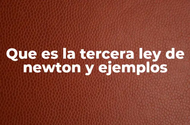 Que es la Tercera Ley de Newton y Ejemplos