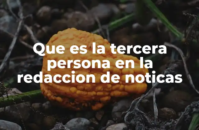 Que es la Tercera Persona en la Redaccion de Noticas