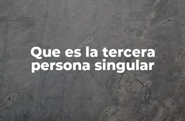 Que es la Tercera Persona Singular