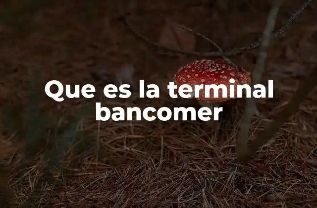 Que es la Terminal Bancomer