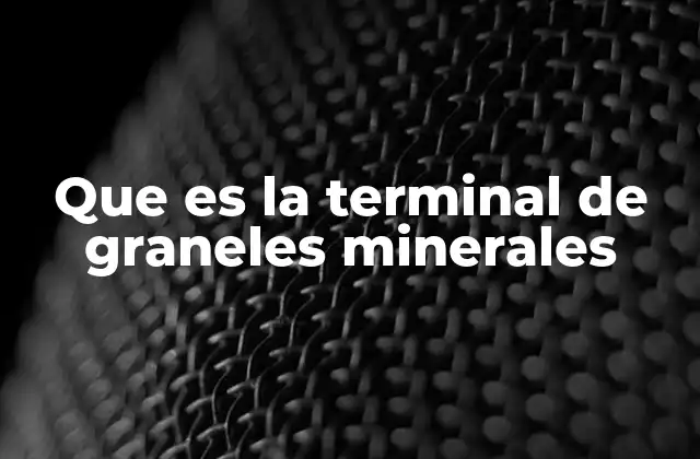 Que es la Terminal de Graneles Minerales