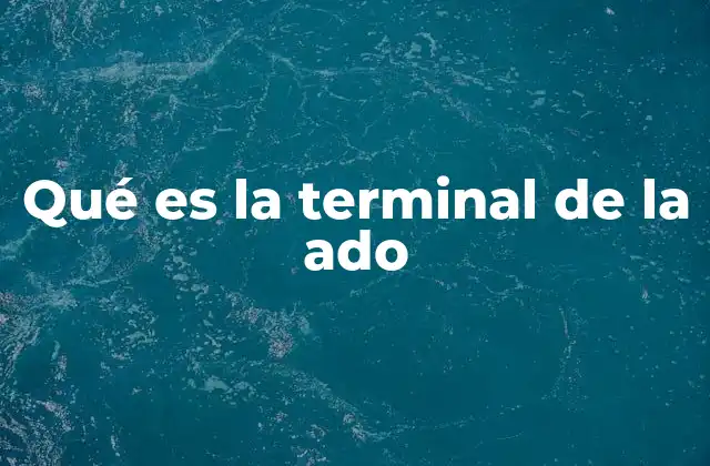 Qué es la Terminal de la Ado