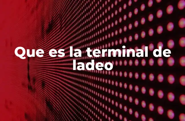 Que es la Terminal de Ladeo