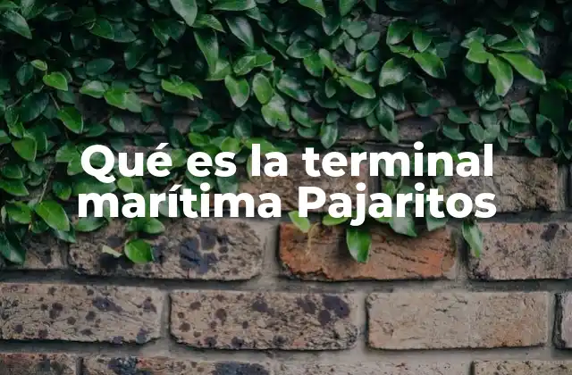 Qué es la Terminal Marítima Pajaritos 2 El papel de la terminal marítima Pajaritos en la logística del Caribe colombiano