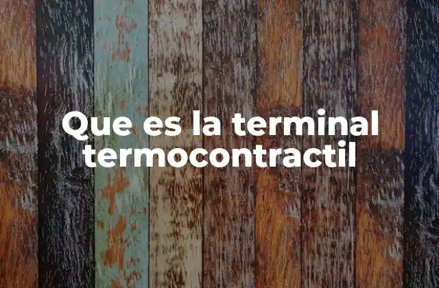 Que es la Terminal Termocontractil