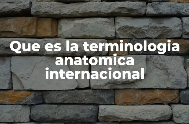 Que es la Terminologia Anatomica Internacional