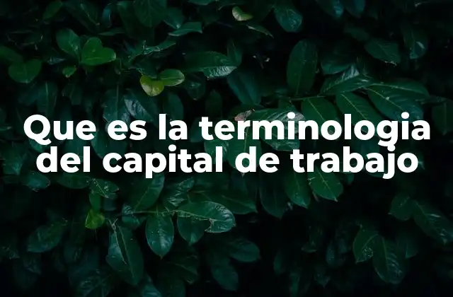 Que es la Terminologia Del Capital de Trabajo