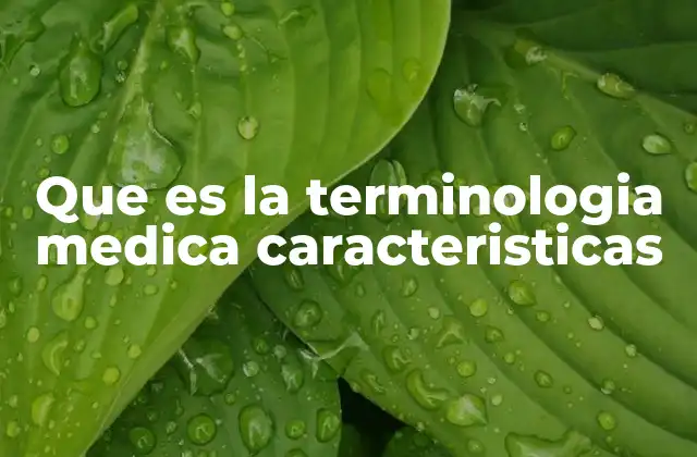 Que es la Terminologia Medica Caracteristicas