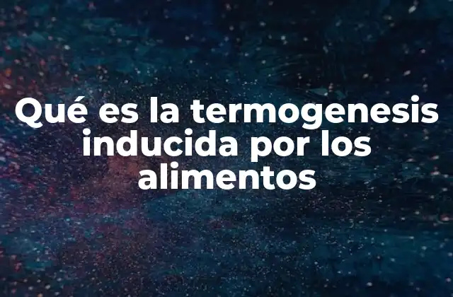 Qué es la Termogenesis Inducida por los Alimentos