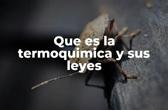 Que es la Termoquimica y Sus Leyes