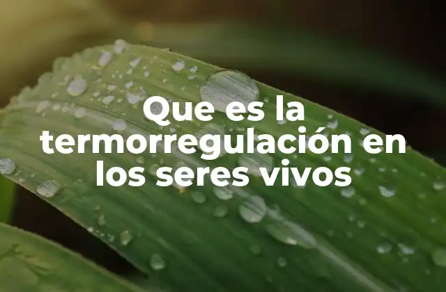 Que es la Termorregulación en los Seres Vivos