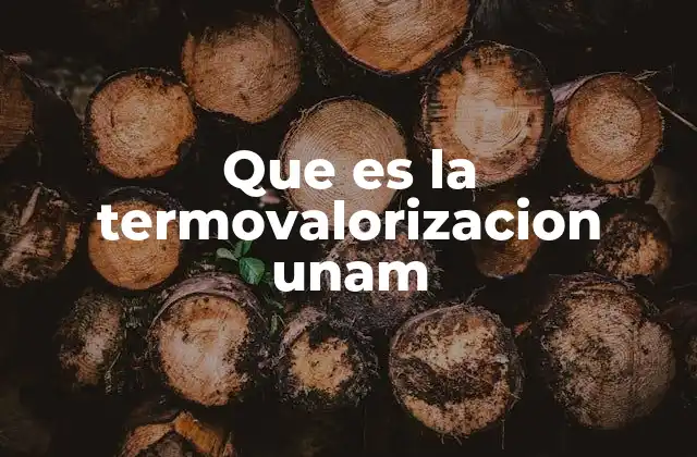 Que es la Termovalorizacion Unam