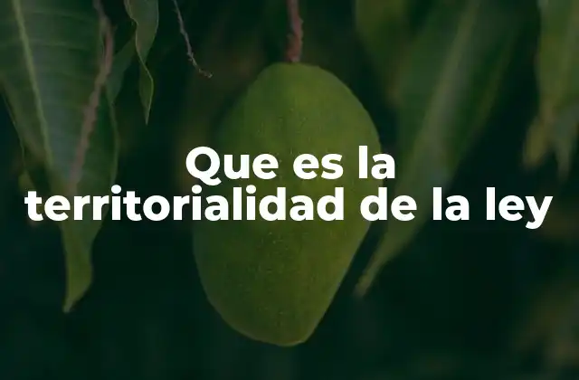 La aplicación de las leyes en el espacio físico