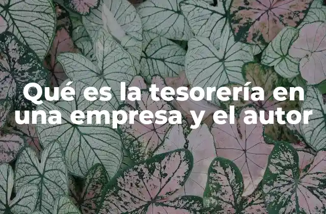 Qué es la Tesorería en una Empresa y el Autor