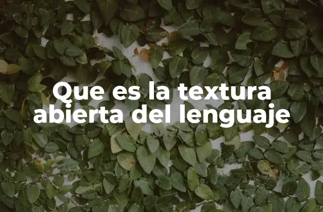 Que es la Textura Abierta Del Lenguaje