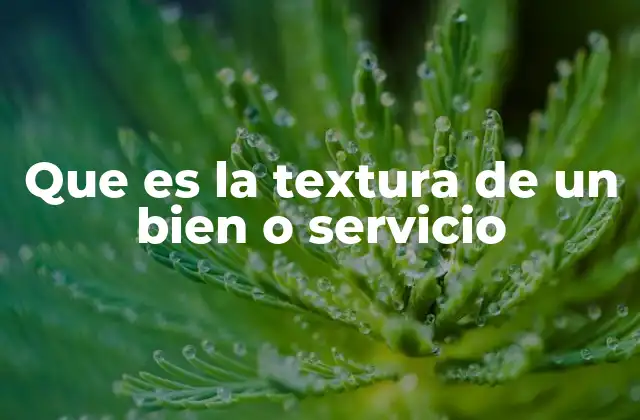 Que es la Textura de un Bien o Servicio