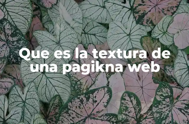 Que es la Textura de una Pagikna Web