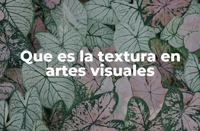 Que es la Textura en Artes Visuales