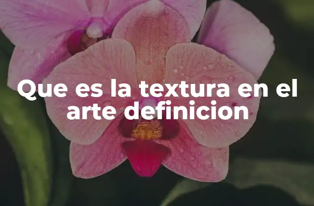 Que es la Textura en el Arte Definicion