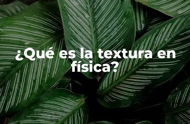 ¿qué es la Textura en Física?