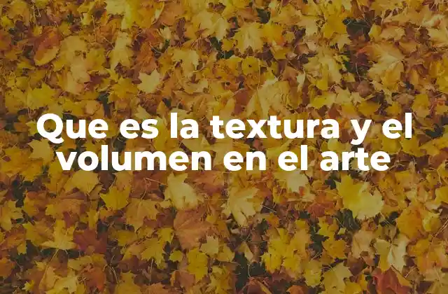 Que es la Textura y el Volumen en el Arte