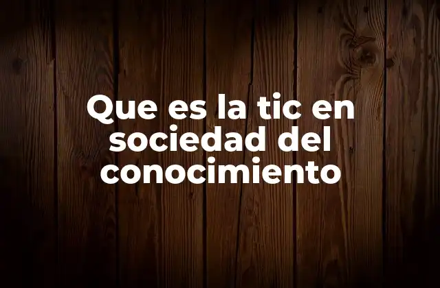Que es la Tic en Sociedad Del Conocimiento