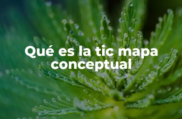 La importancia de visualizar las TIC mediante mapas conceptuales