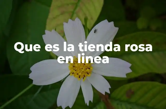 Que es la Tienda Rosa en Linea