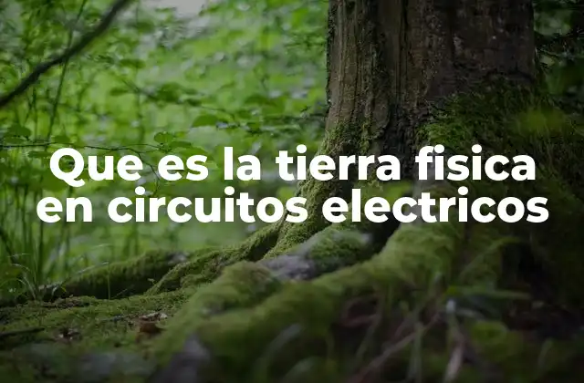 Que es la Tierra Fisica en Circuitos Electricos