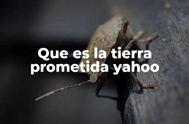 Que es la Tierra Prometida Yahoo