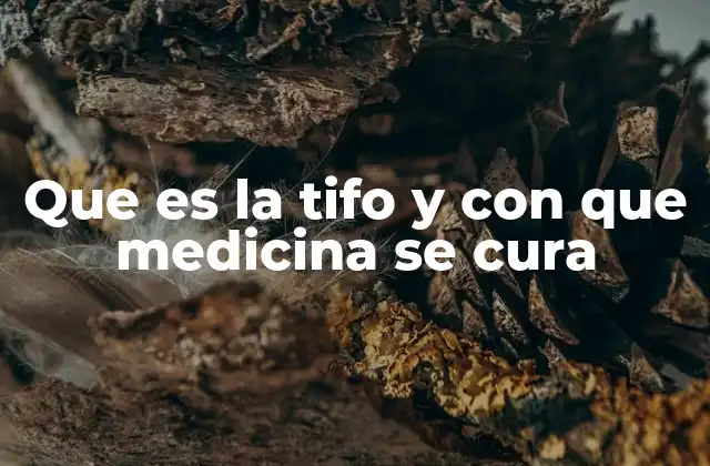 Que es la Tifo y con que Medicina Se Cura