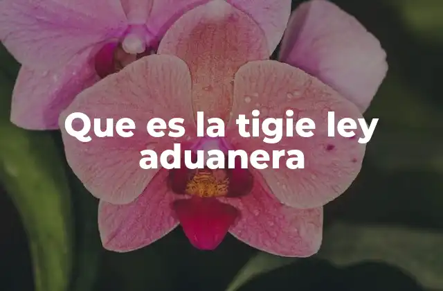 Que es la Tigie Ley Aduanera