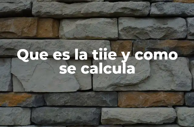 Que es la Tiie y como Se Calcula