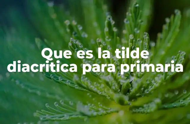 Que es la Tilde Diacritica para Primaria 2 La importancia de enseñar la tilde diacrítica en el aula