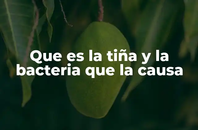 Que es la Tiña y la Bacteria que la Causa