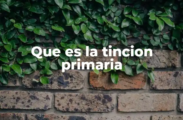 El proceso de coloración y el rol de la tinción primaria