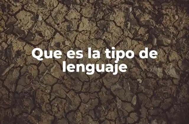 Que es la Tipo de Lenguaje