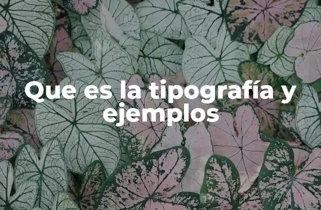 Que es la Tipografía y Ejemplos