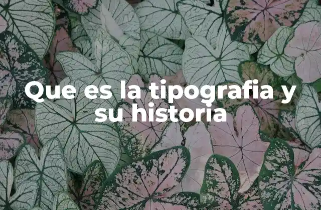 Que es la Tipografia y Su Historia