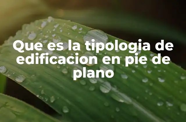 Que es la Tipologia de Edificacion en Pie de Plano