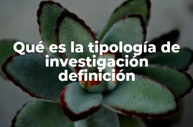 Qué es la Tipología de Investigación Definición