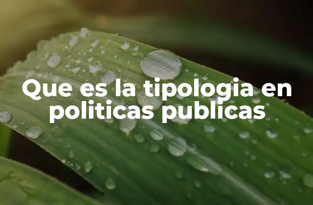 Que es la Tipologia en Politicas Publicas