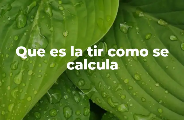 Que es la Tir como Se Calcula