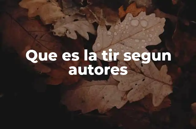 Que es la Tir Segun Autores