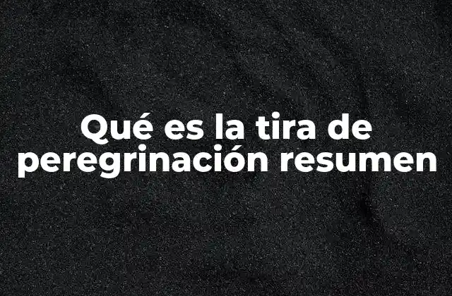 Qué es la Tira de Peregrinación Resumen