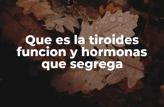 Que es la Tiroides Funcion y Hormonas que Segrega 2 El papel de la tiroides en el equilibrio del organismo