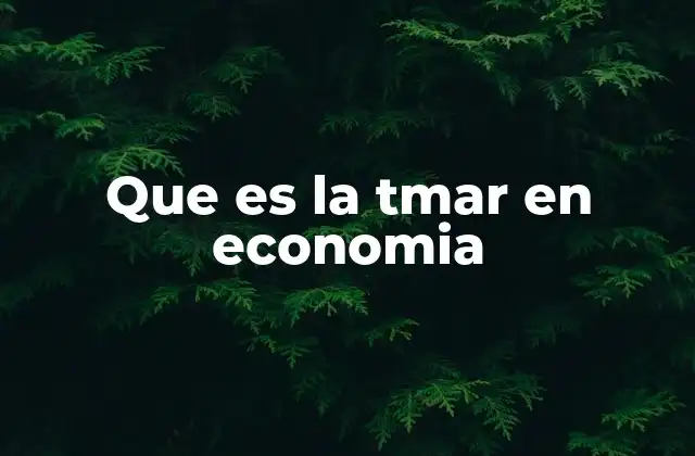 Que es la Tmar en Economia