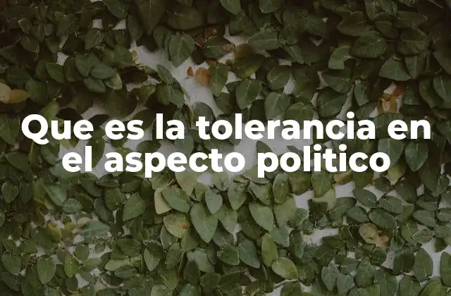Que es la Tolerancia en el Aspecto Politico 2 La importancia del respeto en la toma de decisiones colectivas