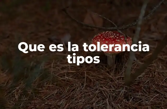 La importancia de reconocer diferentes formas de tolerancia