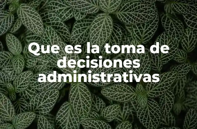 Que es la Toma de Decisiones Administrativas